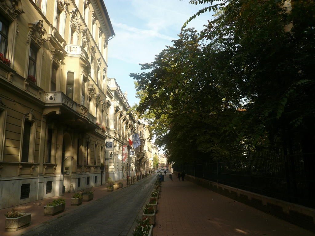 Museum View Apartment Budapest Eksteriør bilde